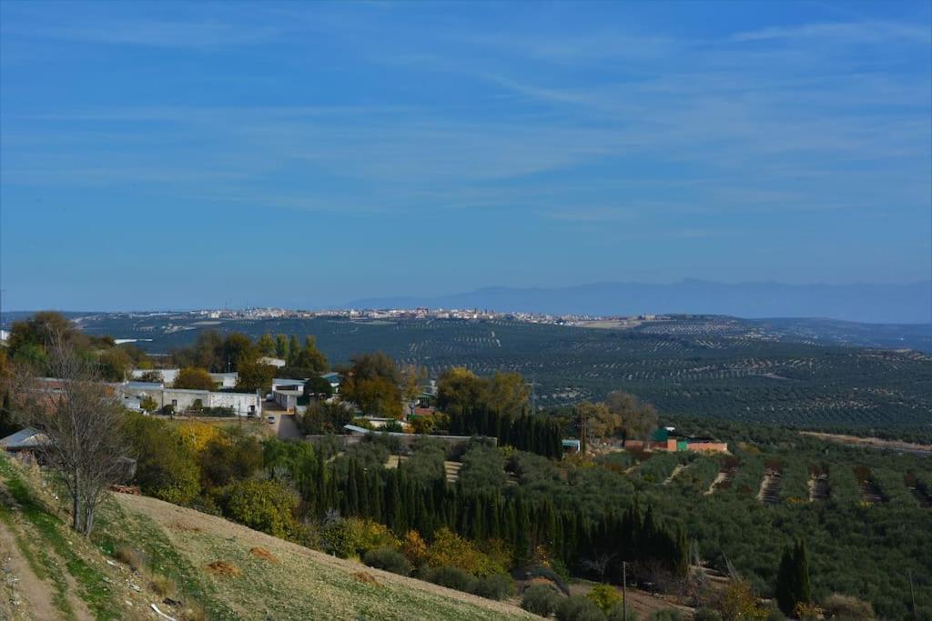 Апартаменты Mirador Del Guadalquivir Баэса Экстерьер фото